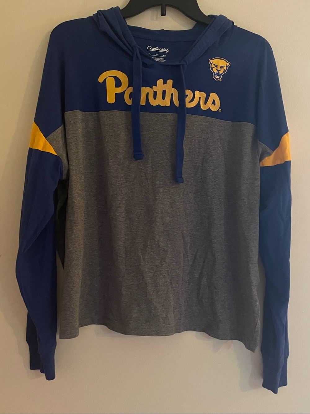 Panthers Glitter Colorblock Hooded Long Sleeve Shirt
